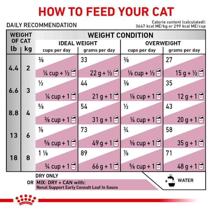 Dry Cat Food C771683
