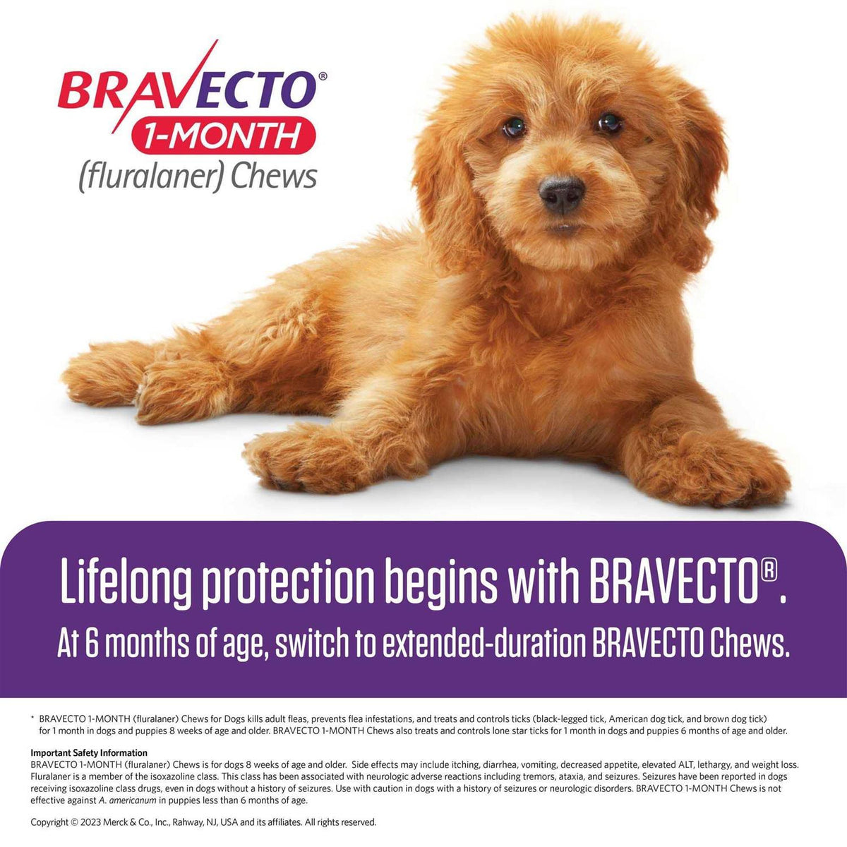 1-Month Chews for Dogs A96288