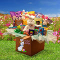 Care Package B5154