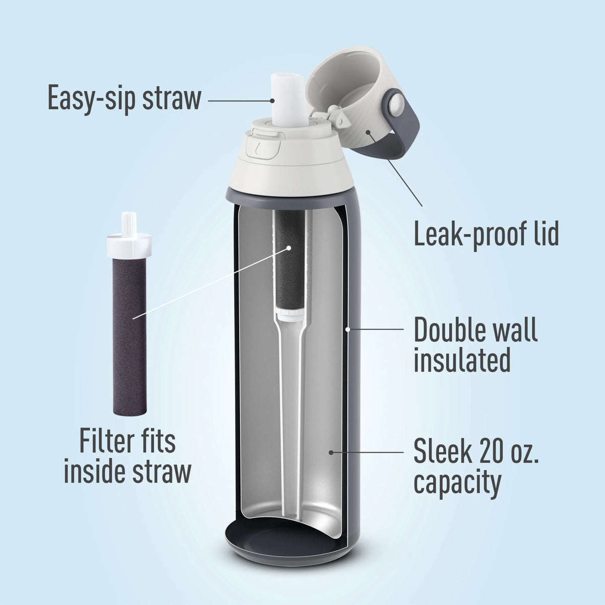 20 oz Stainless Steel Filtered Insulated Water Bottle with Straw G254731