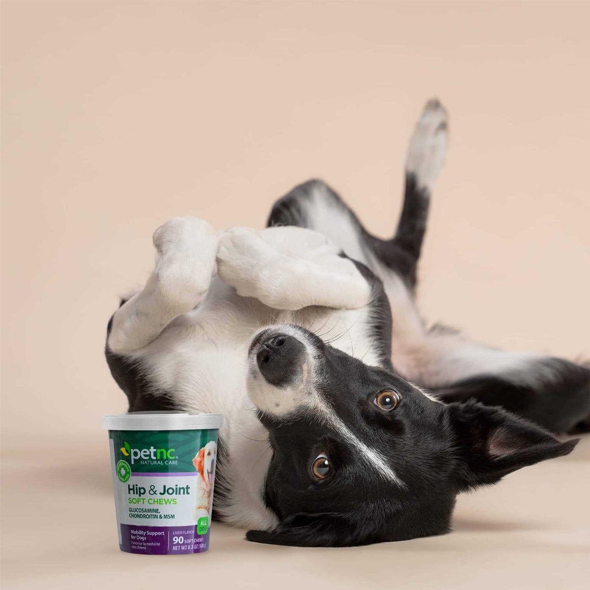 Hip and Joint Soft Chews for Dogs I325