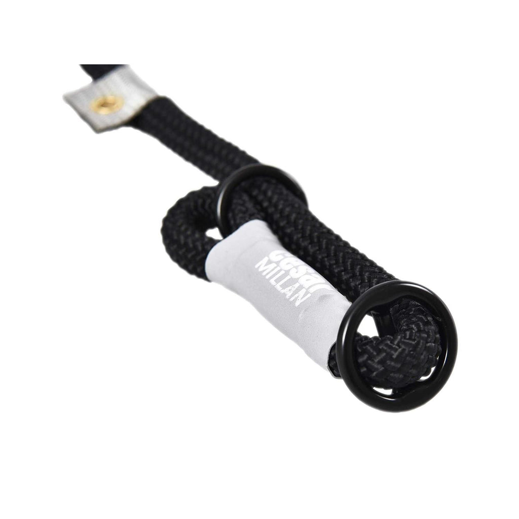 2-in-1 Slip Collar Dog Training Lead & Collar Z995450