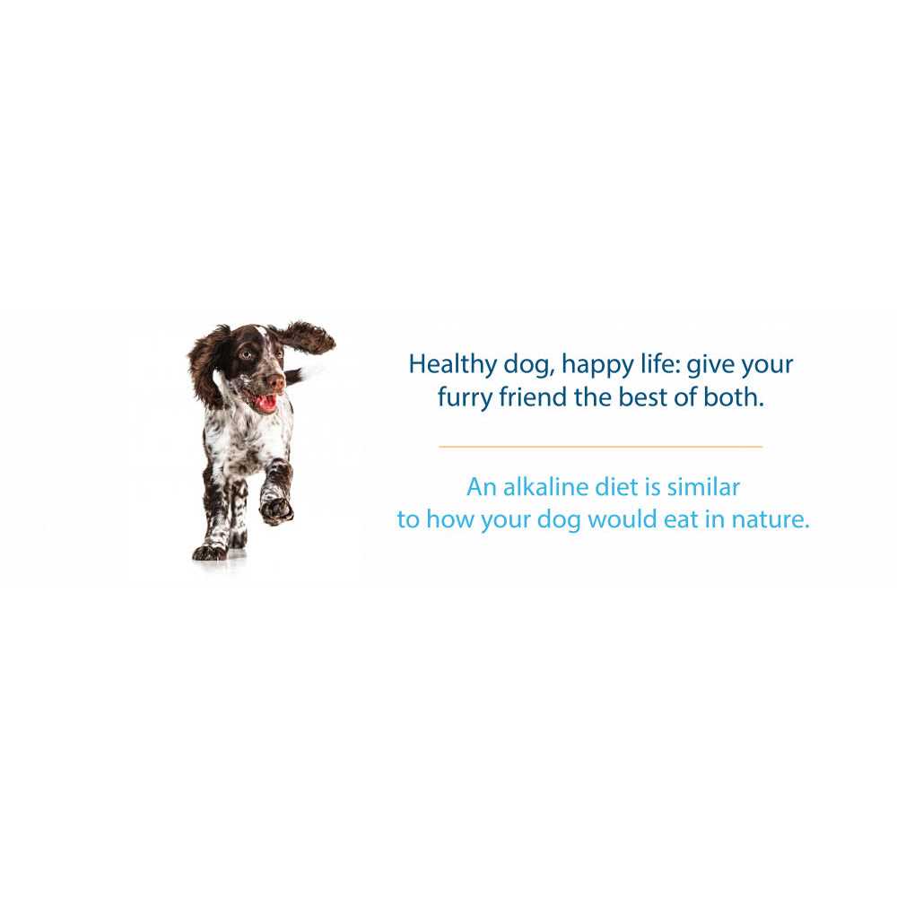 Grain-Free Dry Dog Food V157082
