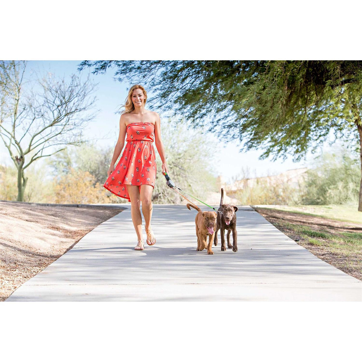 Retractable Dog Leash F9488
