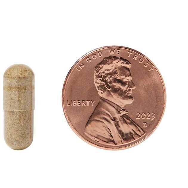 Kidney & Bladder Stone Support for Cats Y689