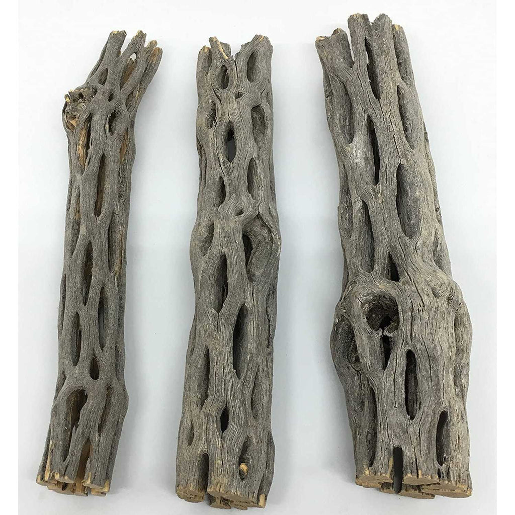 Natural Cholla Wood 3 Pieces Aquarium Decoration H74770