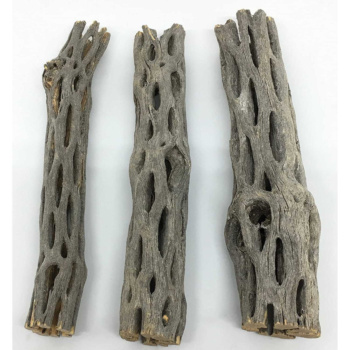 Natural Cholla Wood 3 Pieces Aquarium Decoration H74770