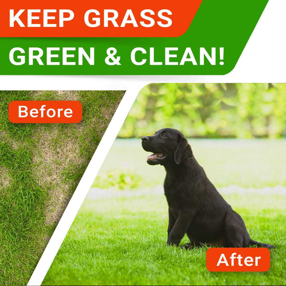 Grass Burn Spot Chews for Dogs E748419