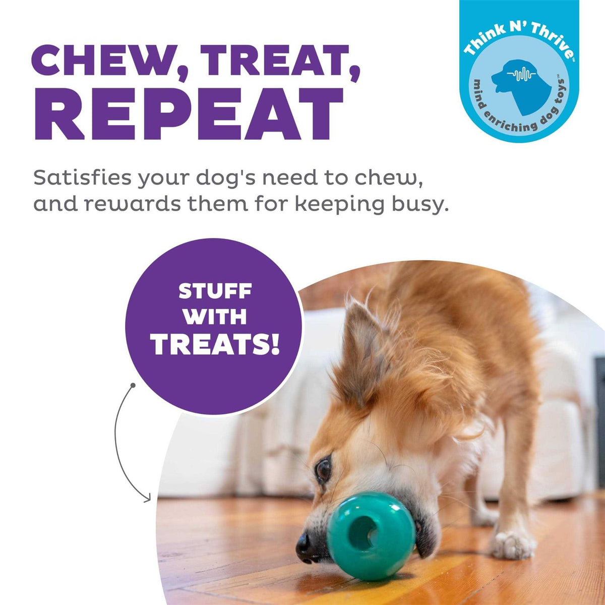 Green Dog Toy F932