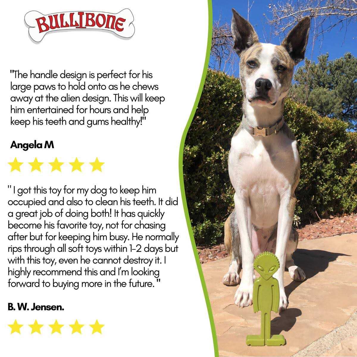 Small Dog Chew Toy with Easy Hold Grips B5604