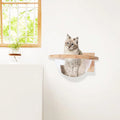 Wall Mounted Cat Bed Climbing Frame K702