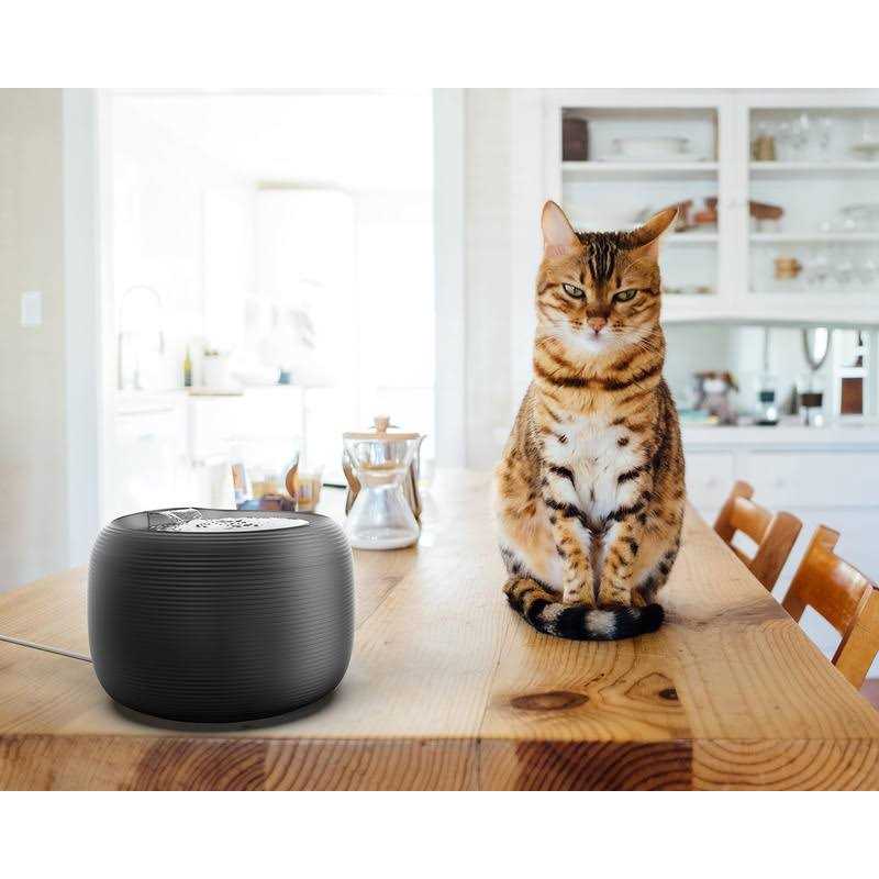 2.5 L Pet Water Fountain D6829