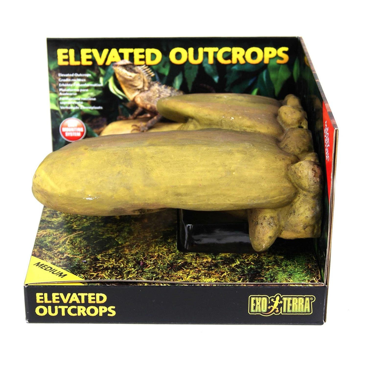 Elevated Outcrop X8965