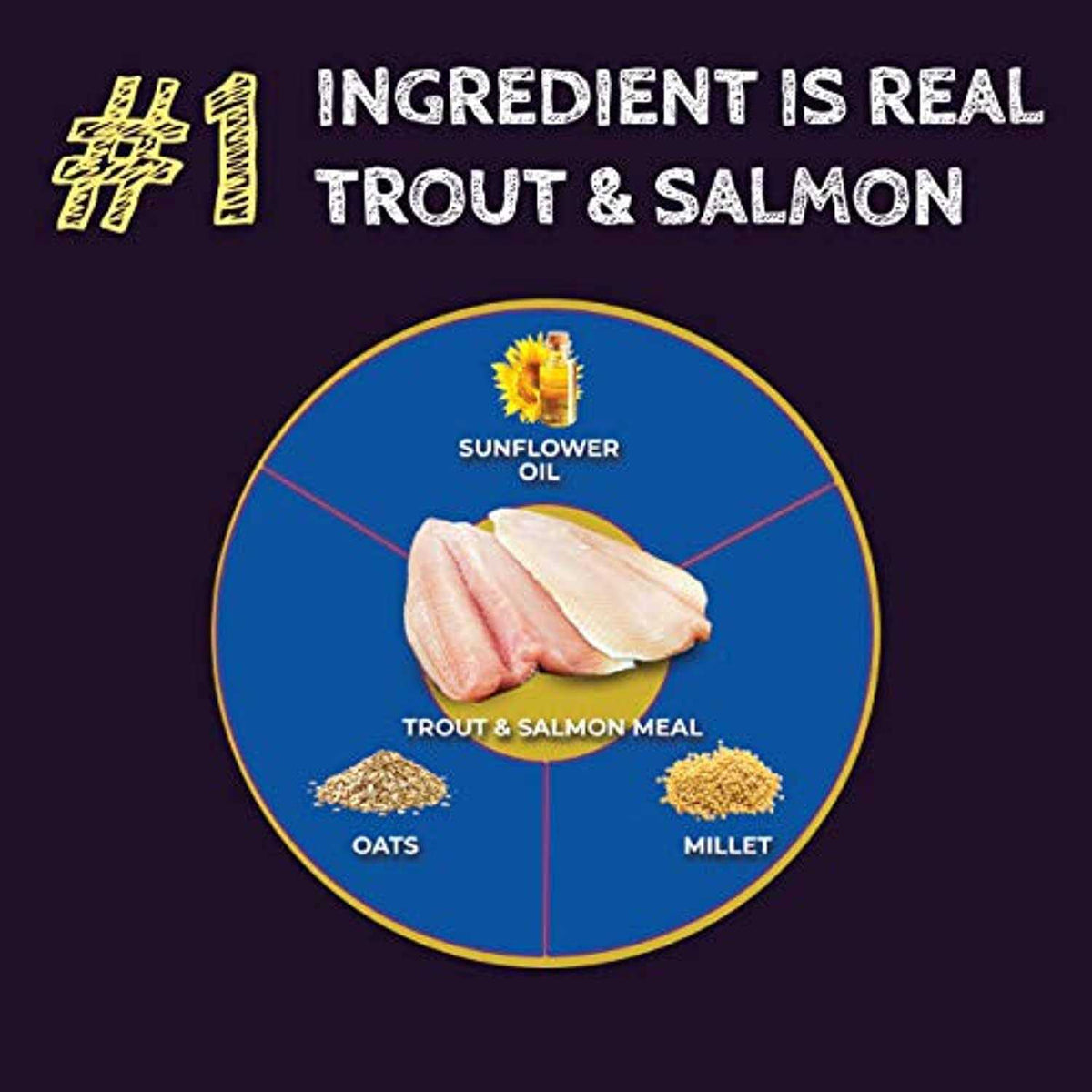 Trout & Salmon Formula Dry Dog Food B4301