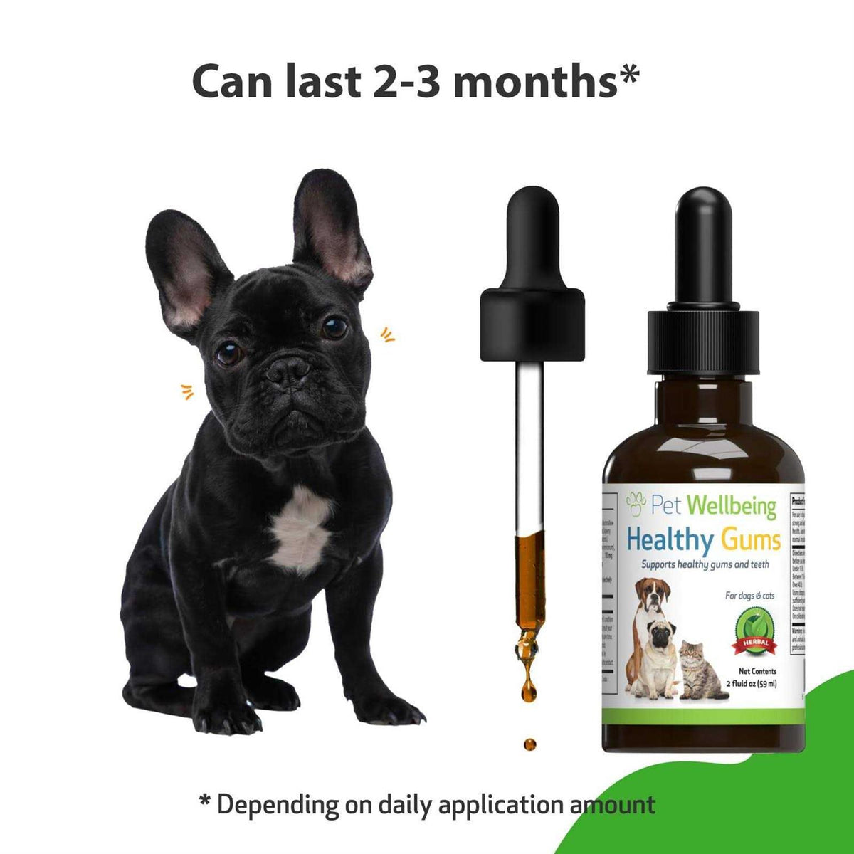 Healthy Gums for Feline Periodontal Health B2764