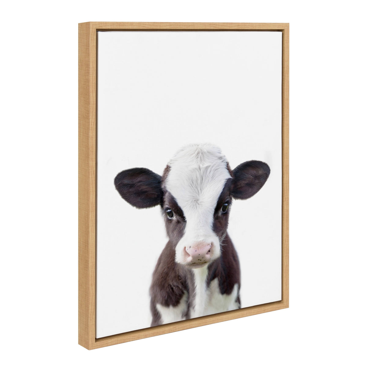 Framed Canvas Y74866
