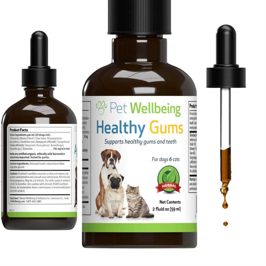 Healthy Gums for Feline Periodontal Health B2764