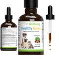 Healthy Gums for Feline Periodontal Health B2764