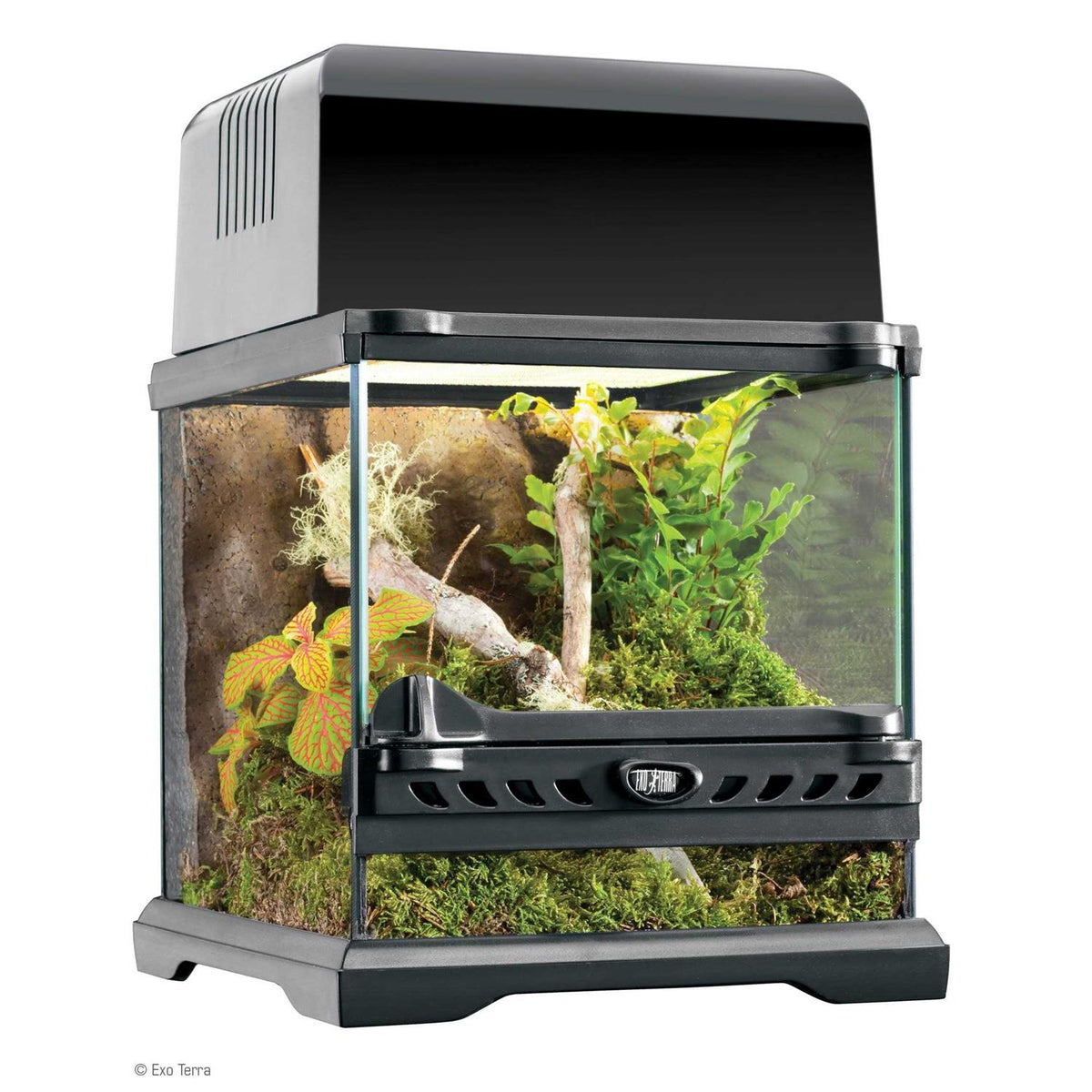 Glass Terrarium O148