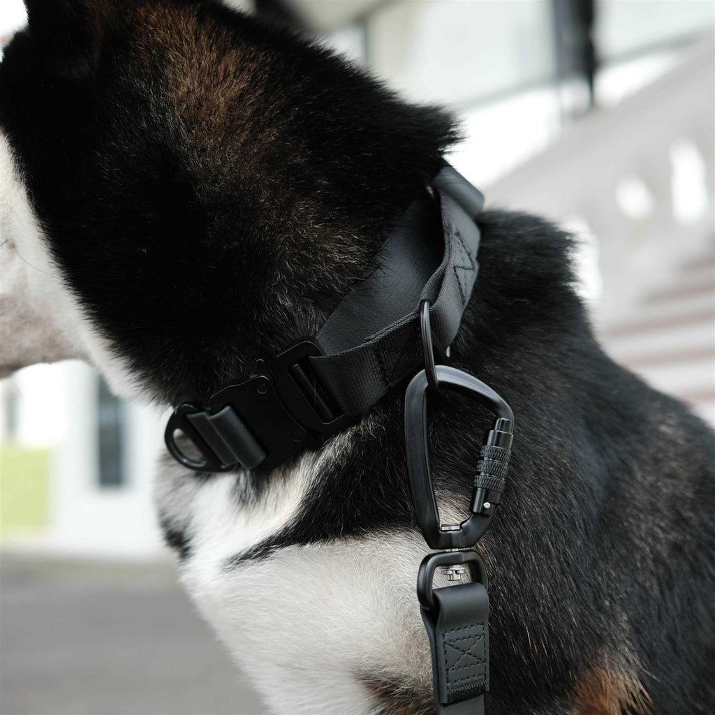 Waterproof Martingale Collar O63784