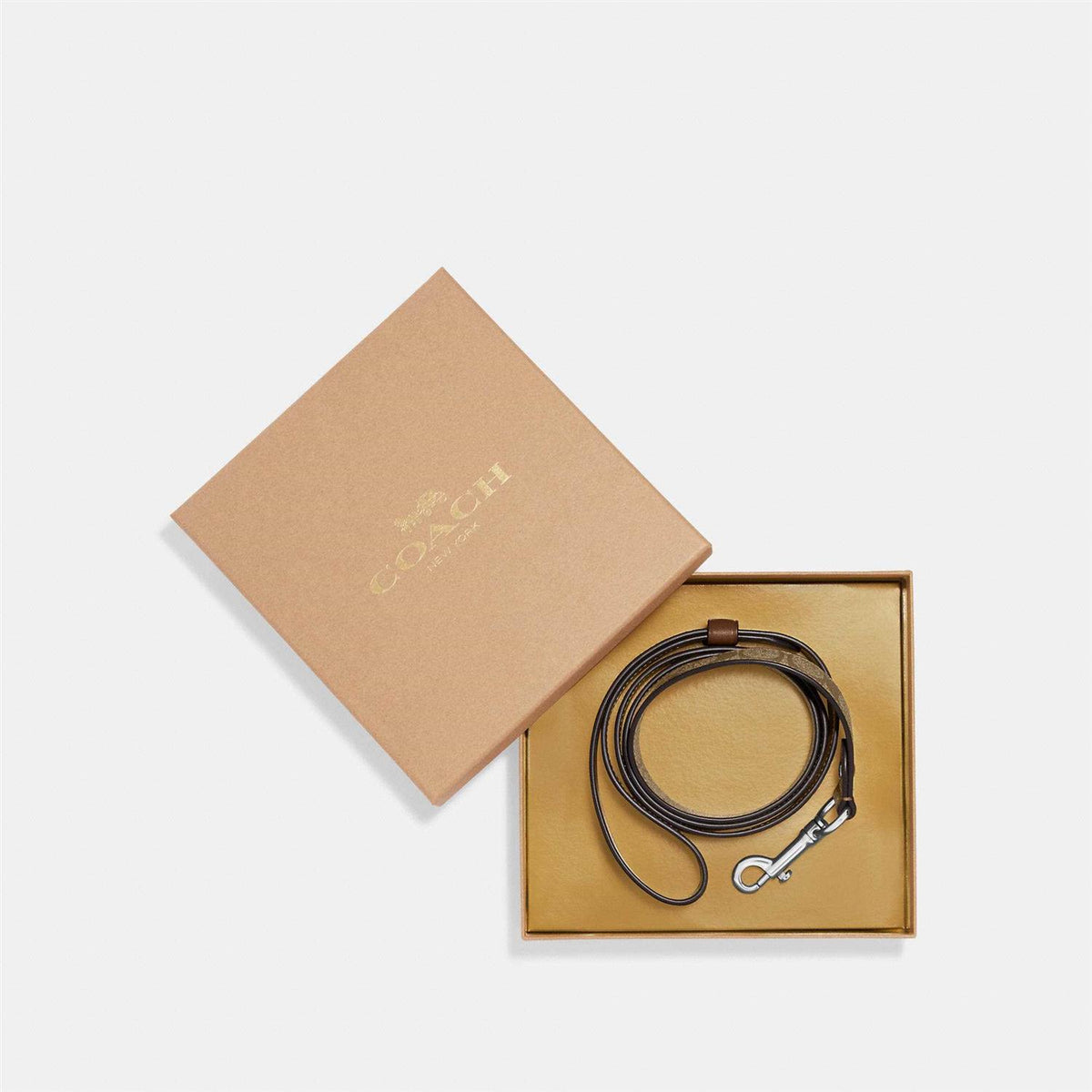 Boxed Pet Leash In Signature Canvas Z95360