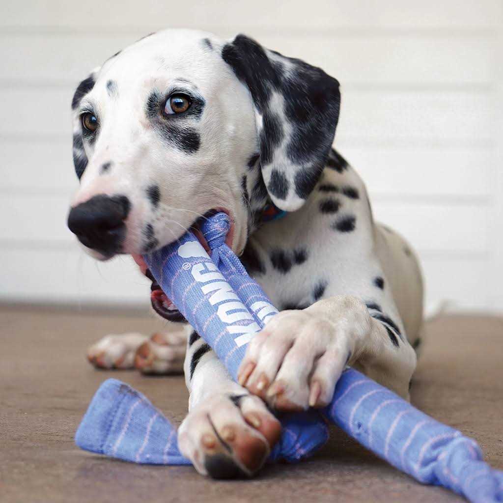Rope Dog Toy V8855