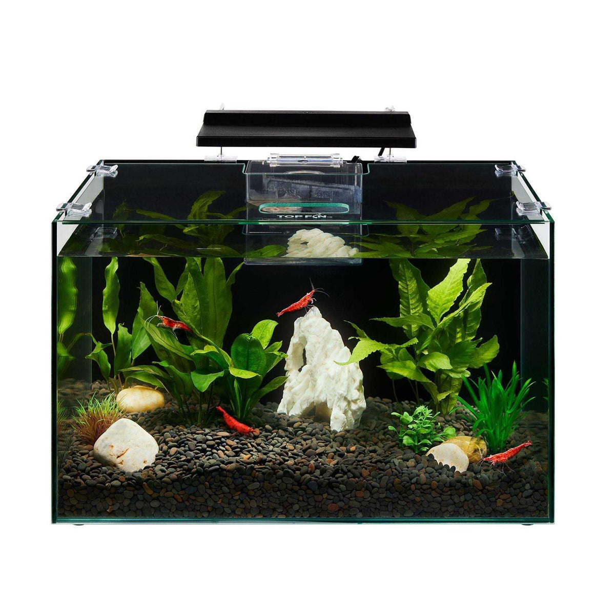 Aquarium Z7564