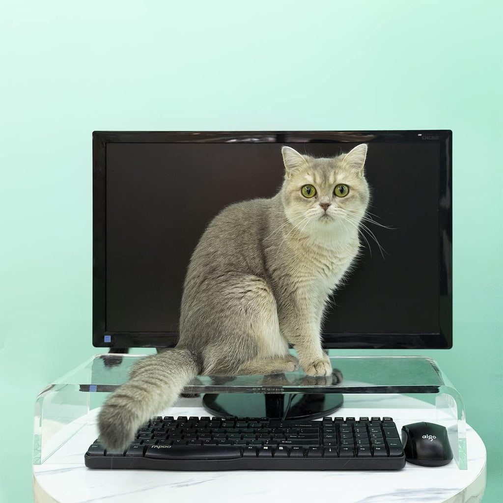 Clear Plexiglass Keyboard Protector O6626