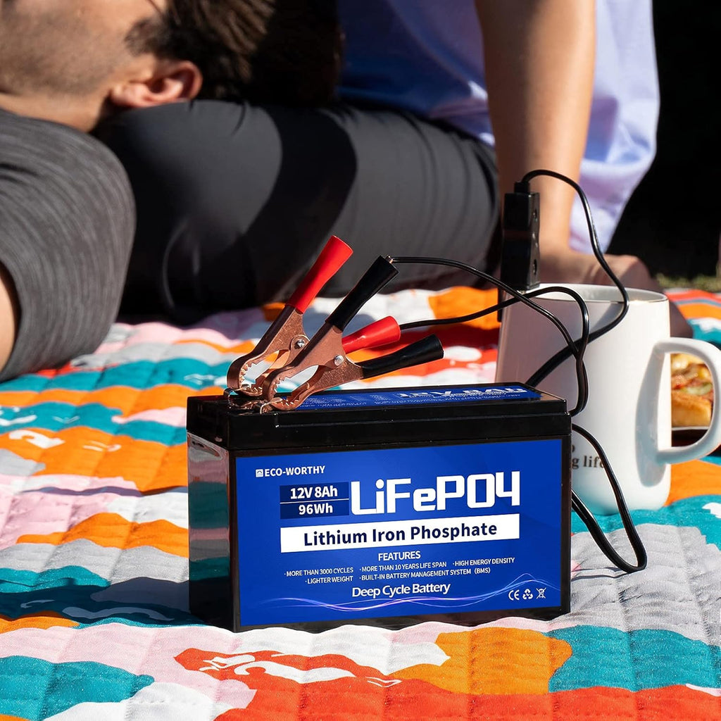 12V 8Ah Rechargeable LiFePO4 Battery with BMS C67451