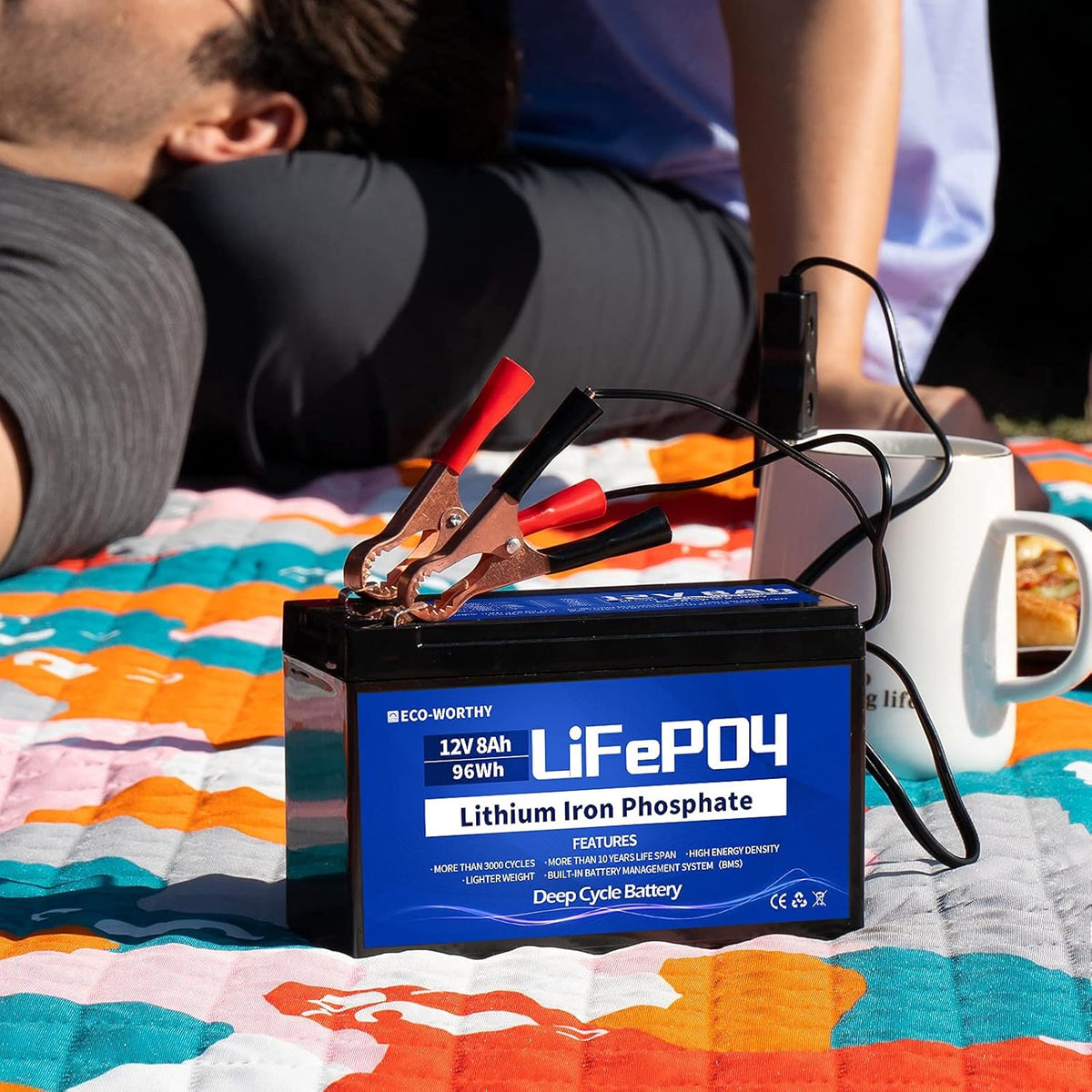 12V 8Ah Rechargeable LiFePO4 Battery with BMS C67451