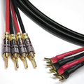 Speaker Cable 4 Spade to 4 Banana O931972