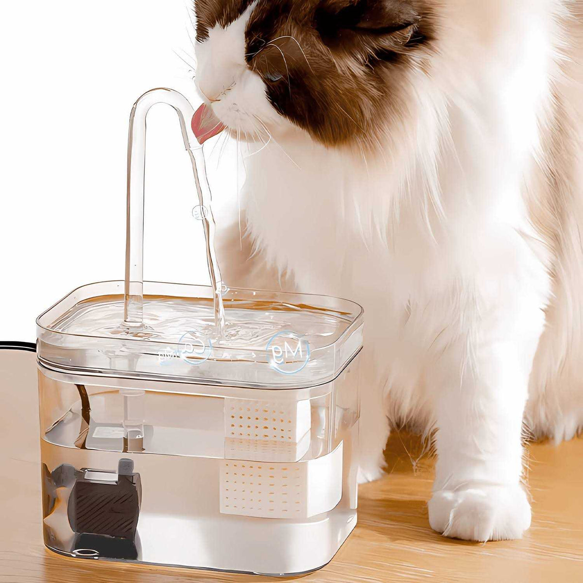 Pet Water Fountain 50oz 1.5L Automatic Water Dispenser with Filters O134