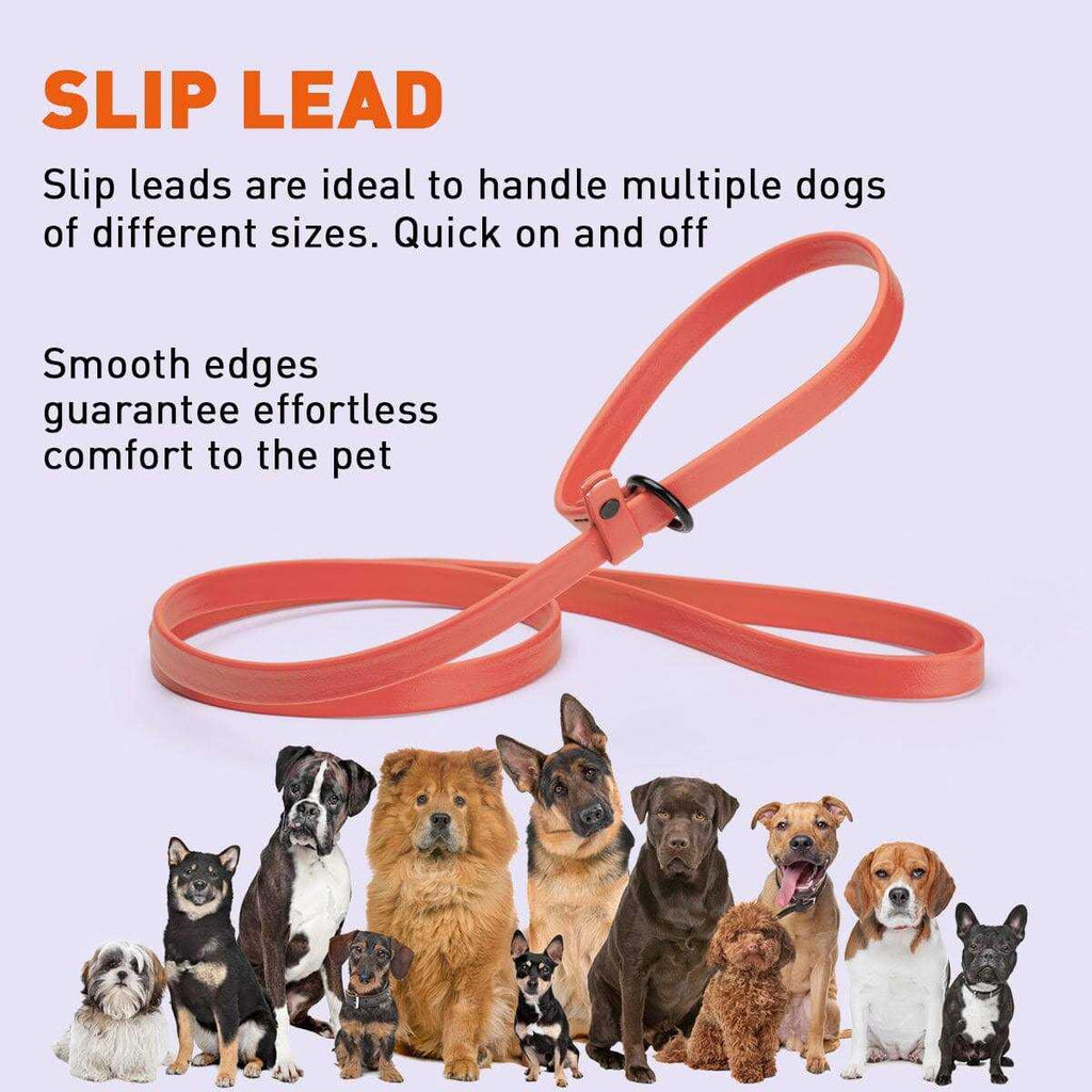 Biothane Slip Dog Leash U41700