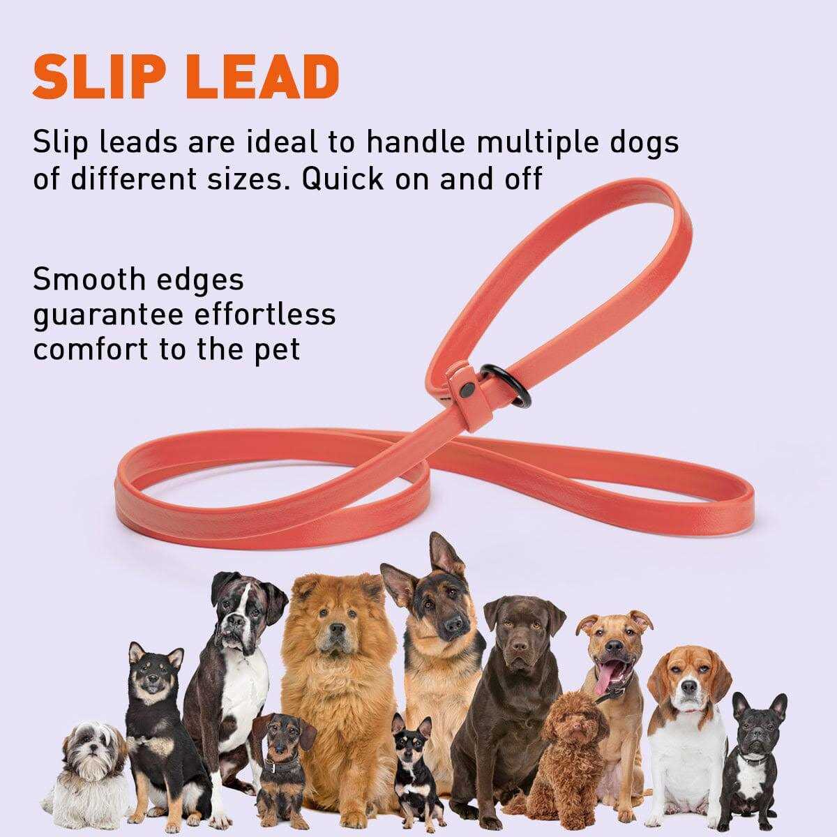 Biothane Slip Dog Leash U41700