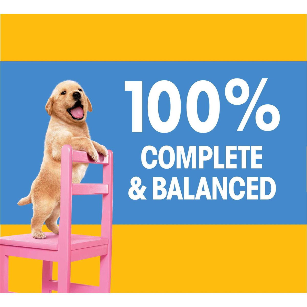 Chicken & Vegetable Flavor Dry Dog Food E451