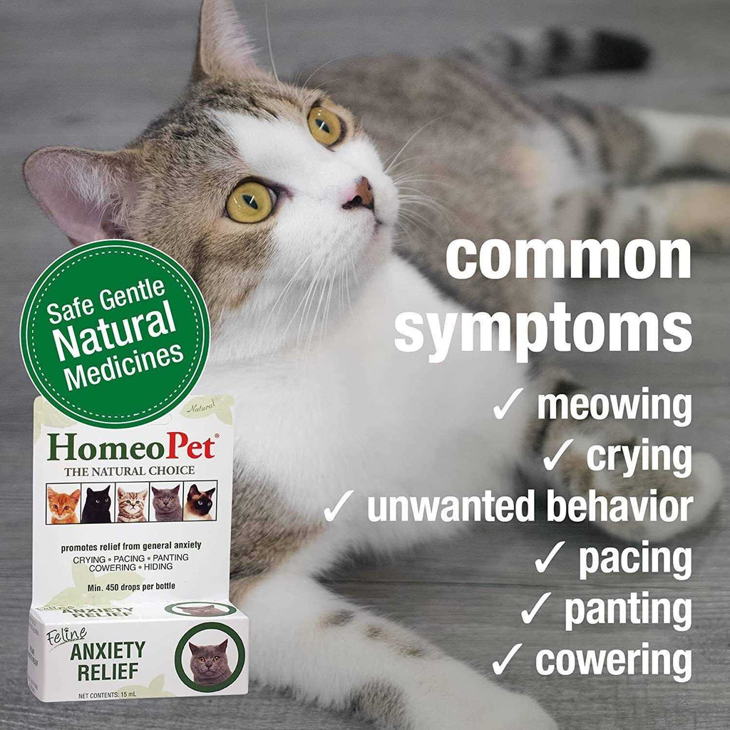 Feline Nose Relief P7272