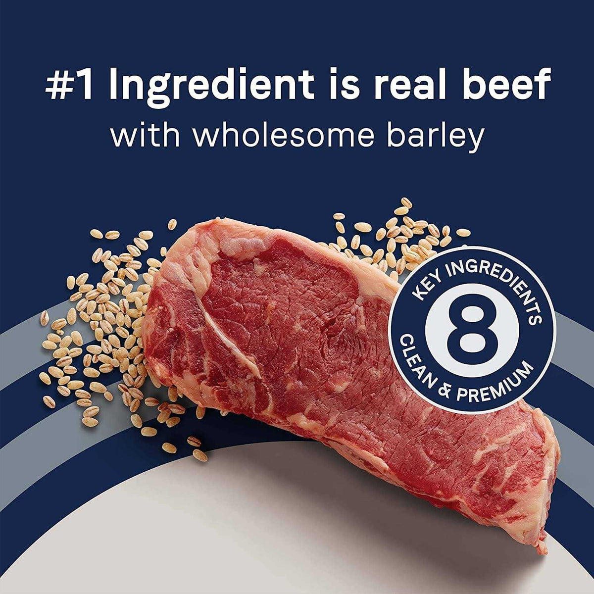Beef & Barley Recipe Dry Dog Food S6184