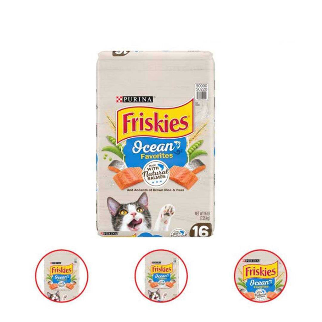 Dry Cat Food With Salmon R302699