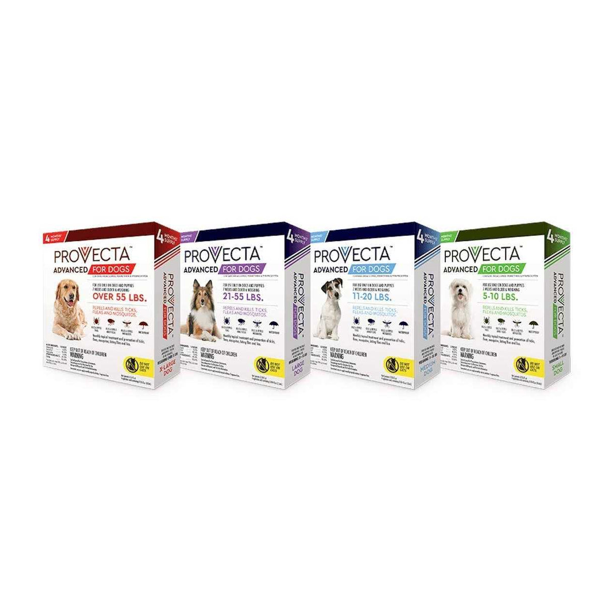 Advanced for Dogs K836
