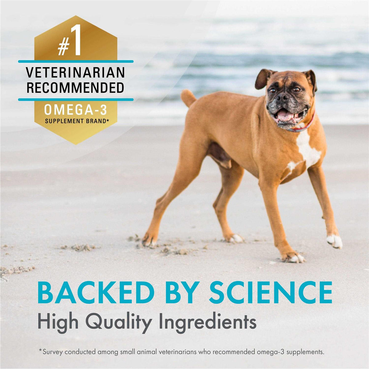 Omega-3 Supplement Soft Chews For Dogs L4818