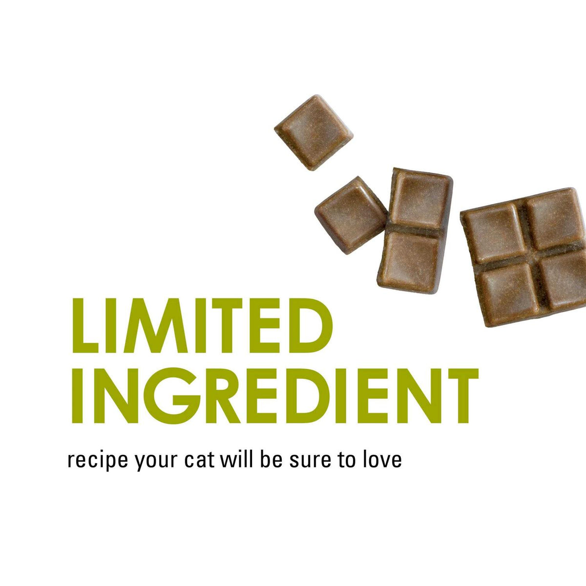 Chicken Flavor Cat Treats 9 oz E858