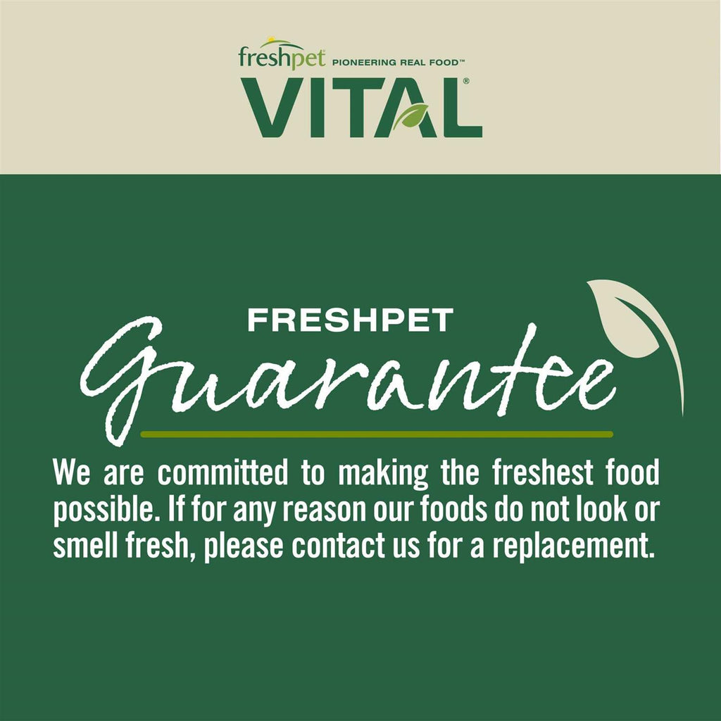 Grain Free Chicken Beef V605094