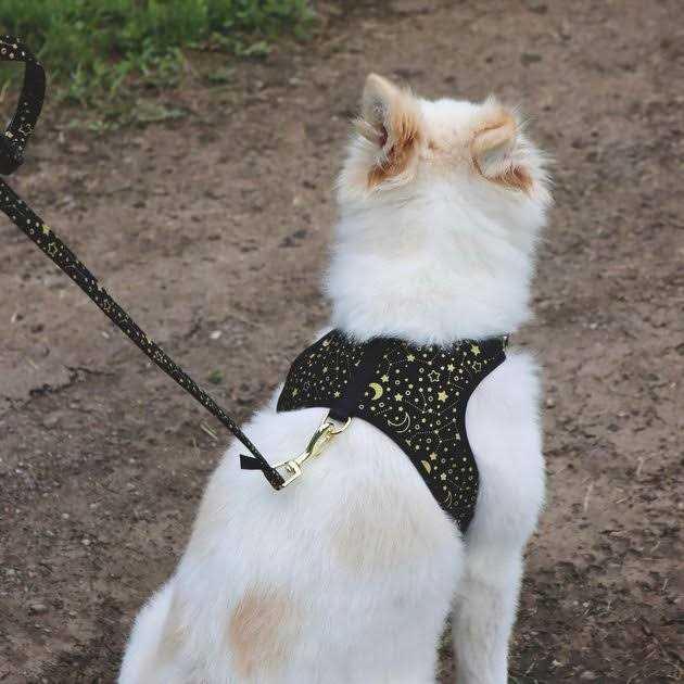 Adjustable Metallic Dog Harness K227