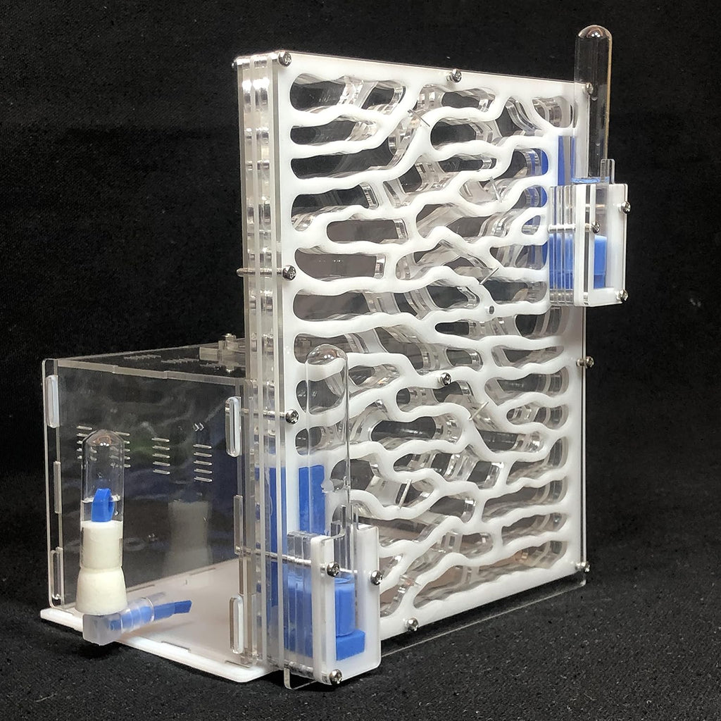 Large Viewing Area Ant Habitat (White) K35250