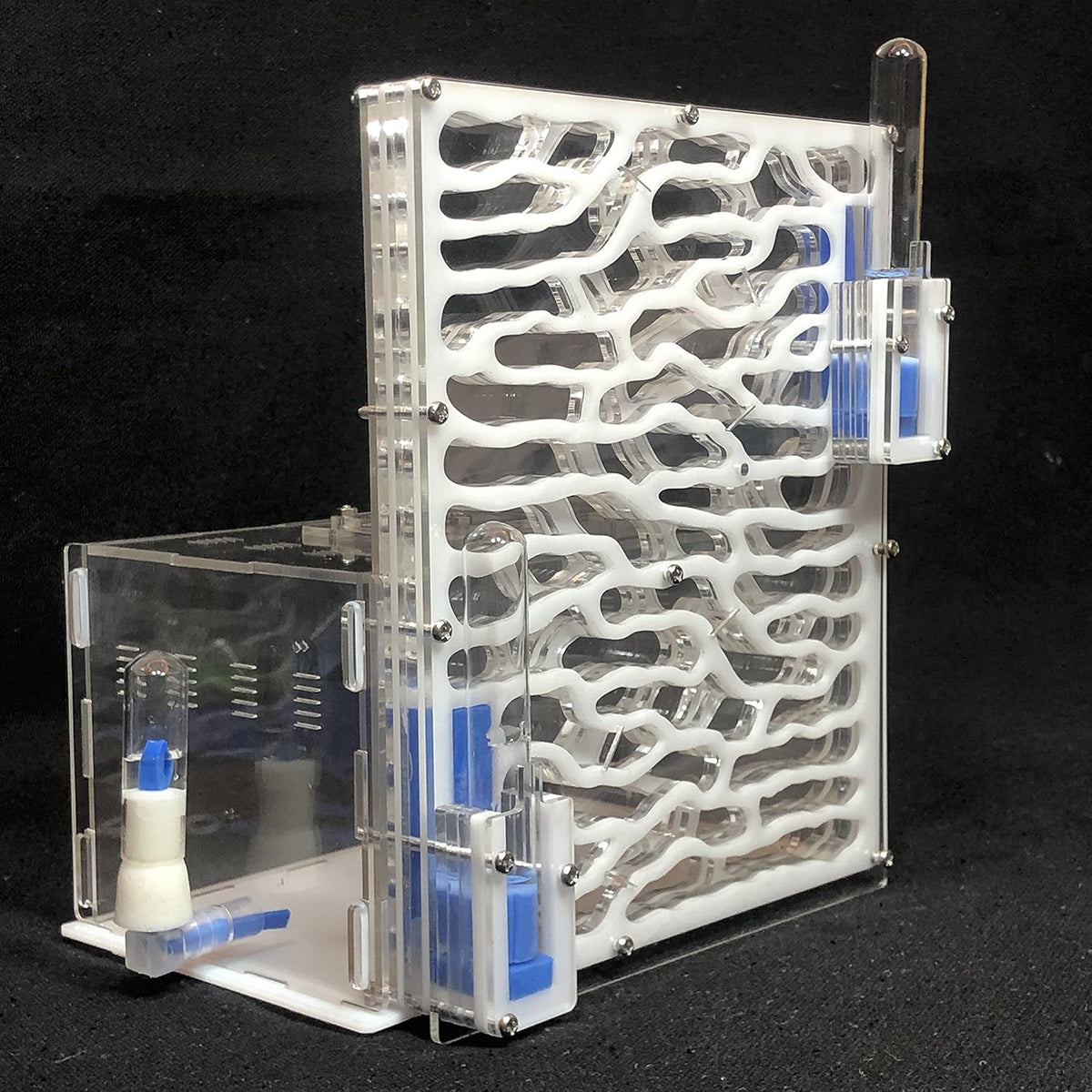Large Viewing Area Ant Habitat (White) K35250