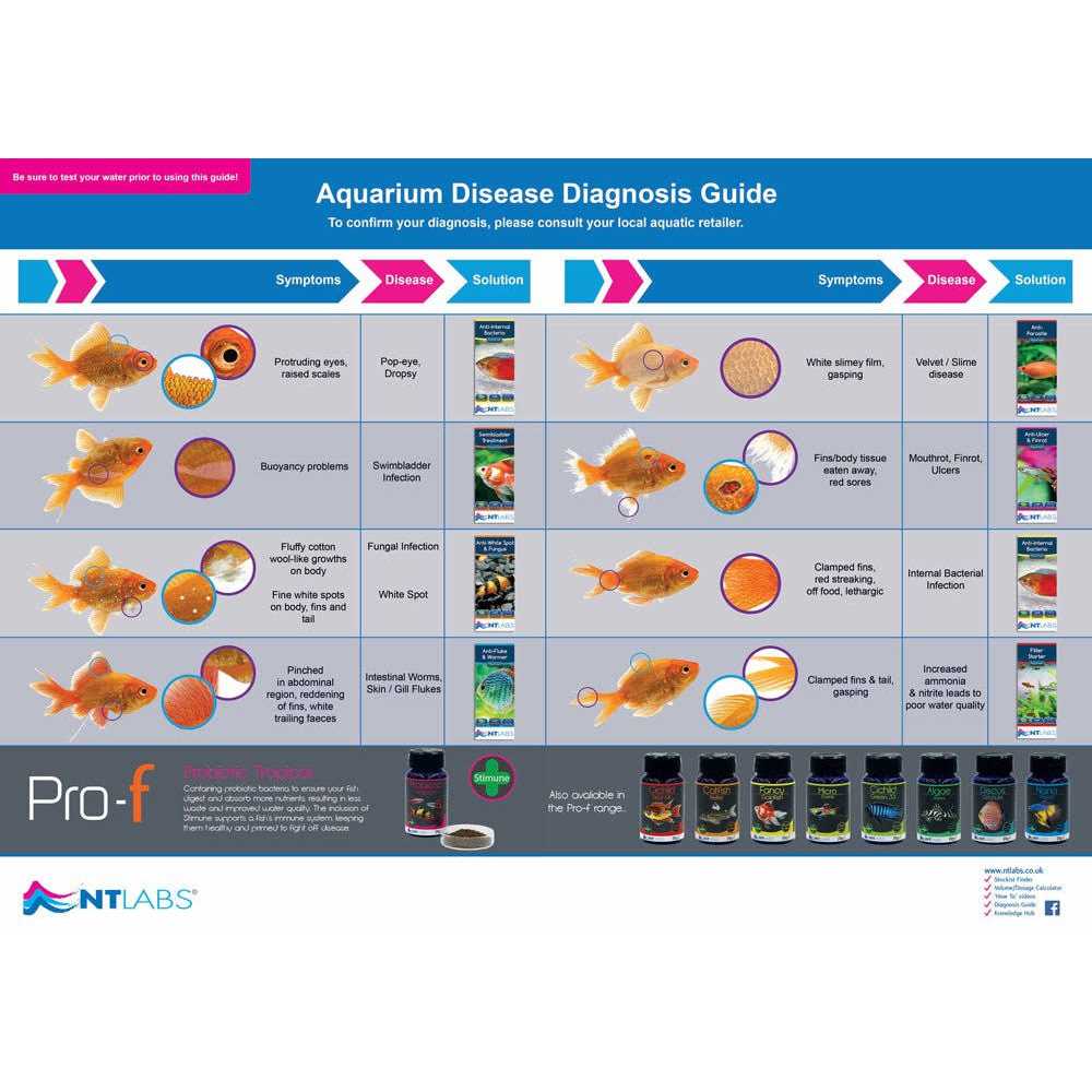 Swimbladder Treatment 134 GR Y2288