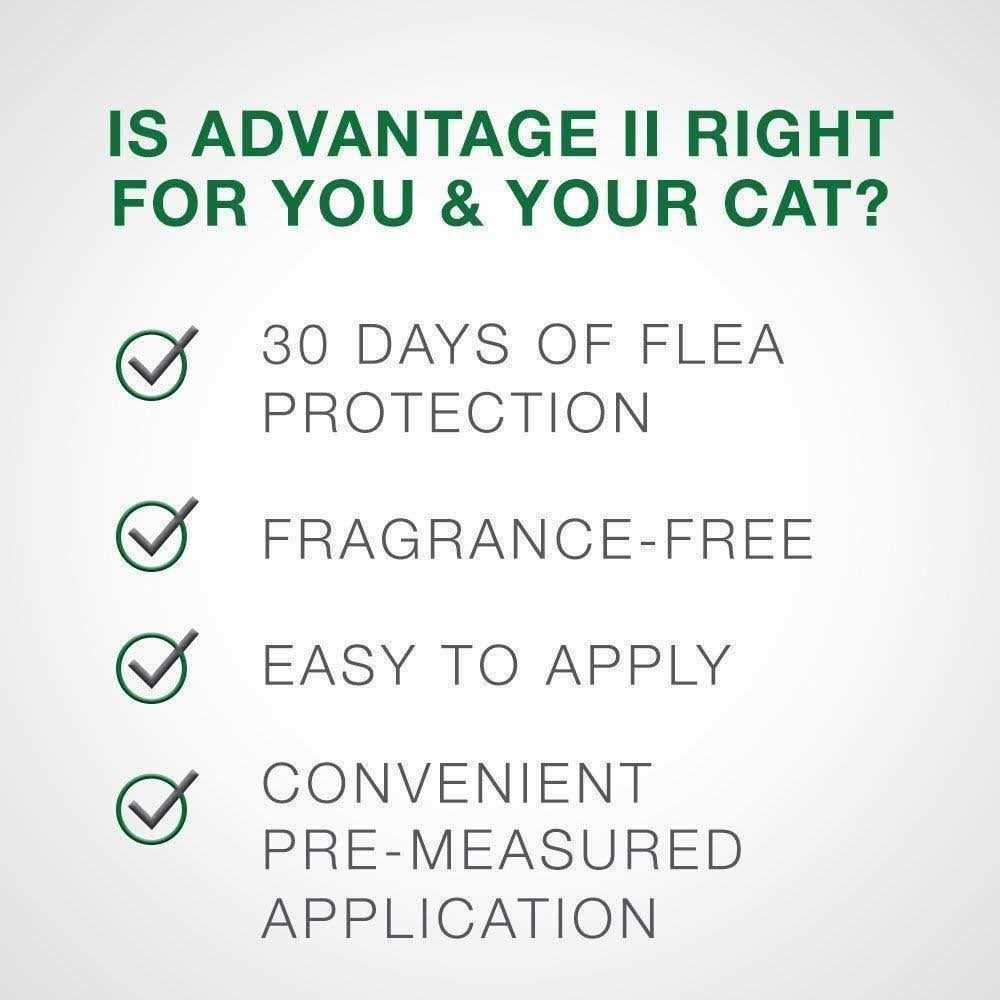 Flea Treatment Cats D561