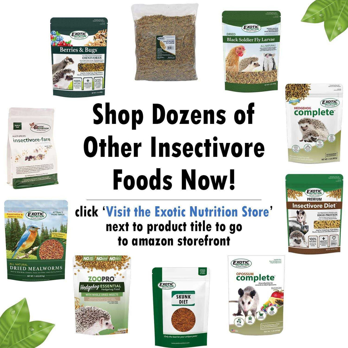 Insectivore Diet G749921