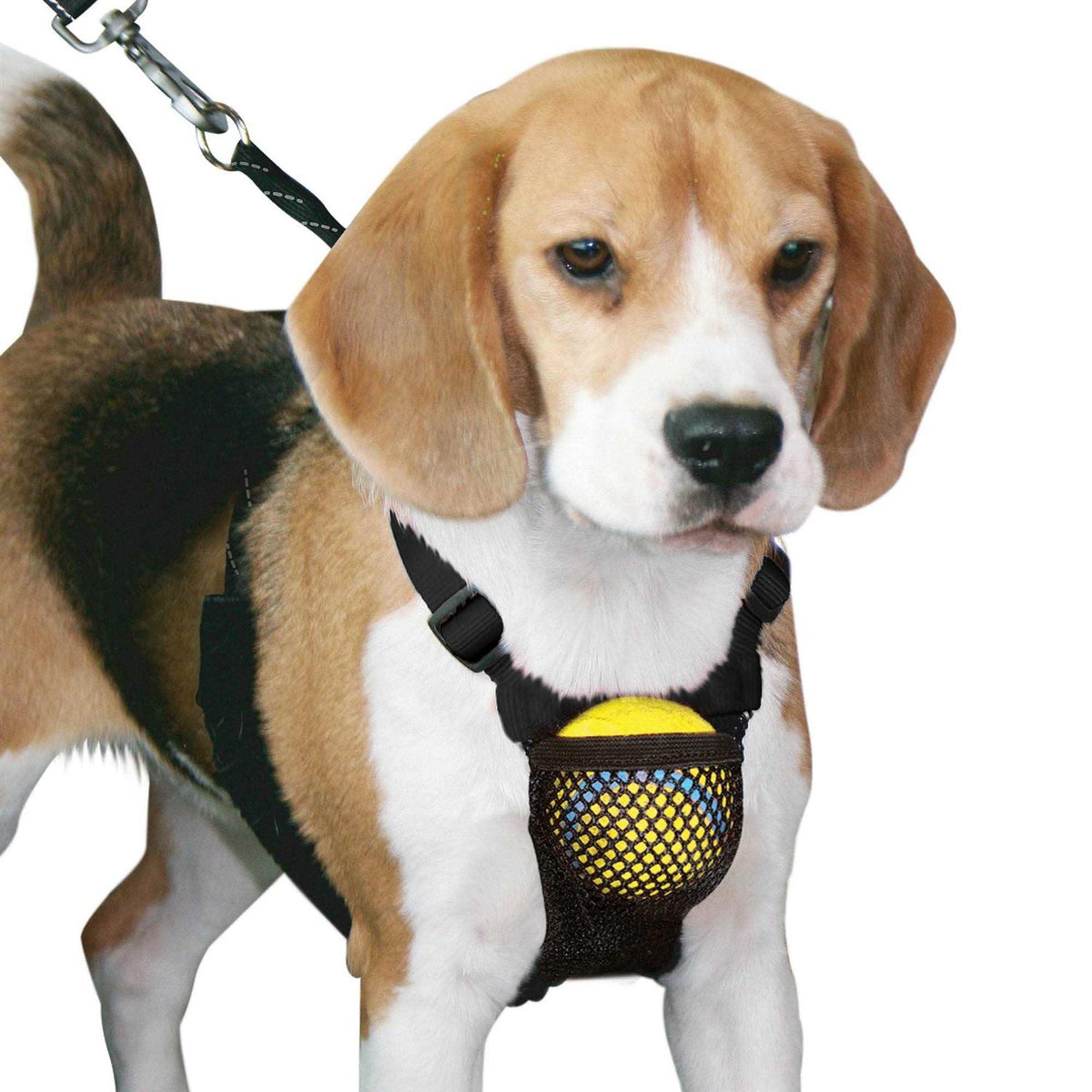 Medium Black Anti Pull Mesh Dog Harness K2850