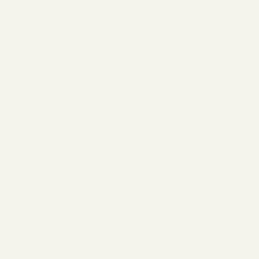 White 2 Gallon Latex Primer S783558